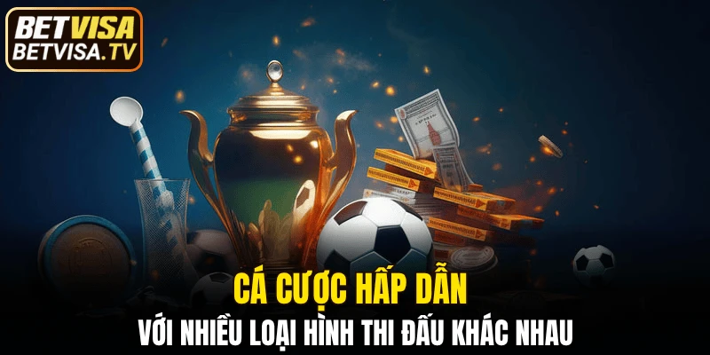 Cá cược hấp dẫn với nhiều loại hình thi đấu khác nhau