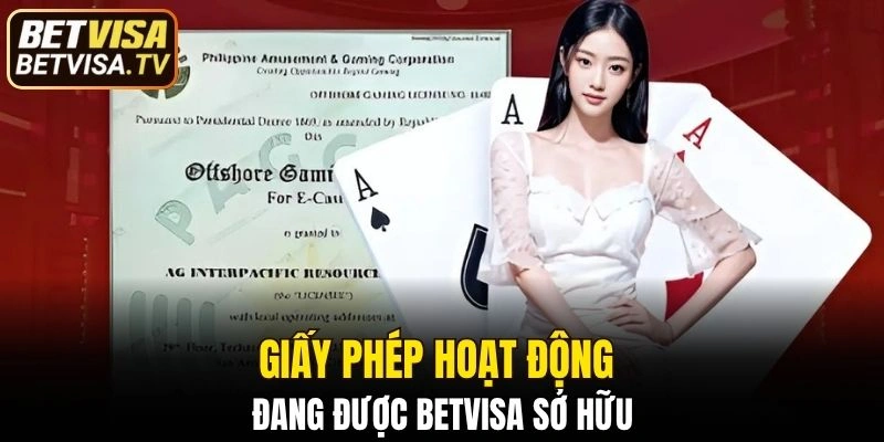 Một số giấy phép hoạt động đang được thương hiệu sở hữu